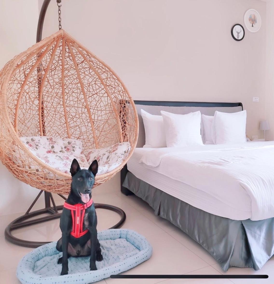 Happy Fat B&B 寵物友善 T'ai-tung Buitenkant foto